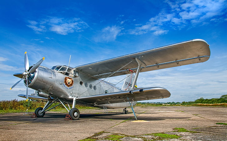 gray airplane, background, the plane, the airfield, Antonov AN-2, HD wallpaper