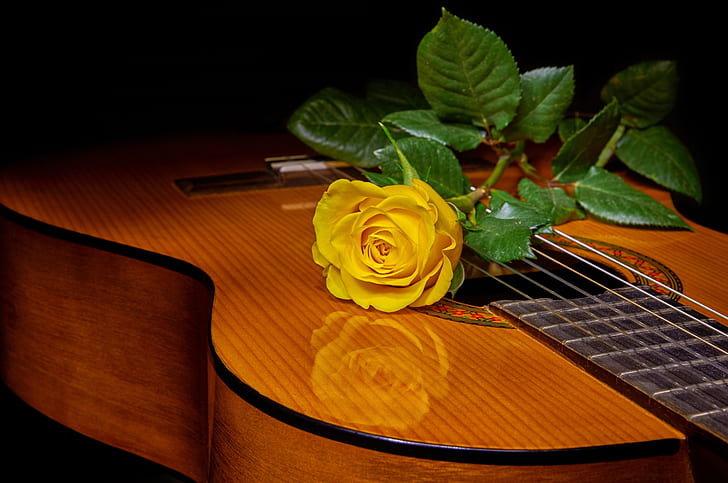style, rose, guitar, yellow rose, HD wallpaper