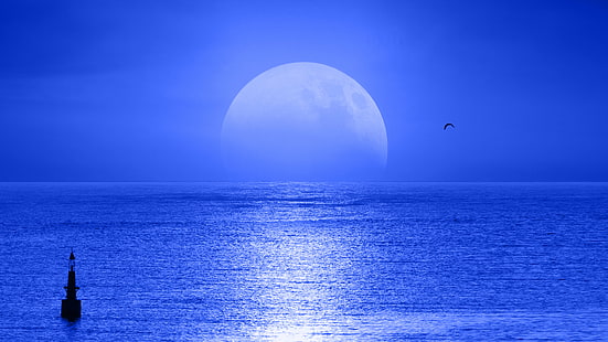 جسم مائي وصورة للقمر ، طلوع القمر ، جسم مائي ، قمر ، صورة ، لون ، اكتمال القمر ، كبير ، علم الفلك ، تصوير فلكي ، سيل ، بحر ، منظر بحري ، محيط ، سماء ، أزرق ، ماء، خلفية HD HD wallpaper