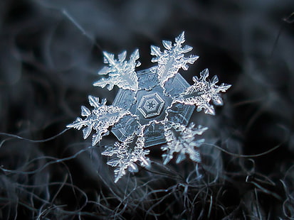 snowflake with black background, Snowflake, macro, darkside, print, version, black, background, snow  crystal, crystal  symmetry, outdoor, winter, cold, frost, natural, ice, transparent, hexagon, magnified, closeup, details, shape, christmas  season, снежинка, fine, elegant, ornate, beauty, beautiful, north, decor, isolated, clear, unique, decorated, blue  light, lighting, dark, texture, canvas, fragile, fragility, structure, christmas, snow, backgrounds, decoration, season, abstract, frozen, HD wallpaper HD wallpaper