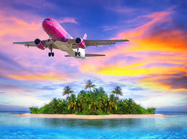 Aircrafts, Airbus A320, Airplane, Island, Ocean, Orange, Palm Tree, Sky, Sunset, Tropical, HD wallpaper