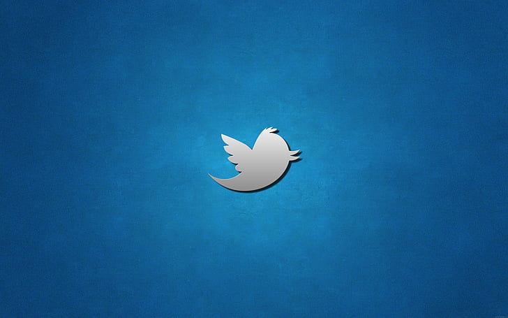 Twitter logo, twitter logo, twitter, bird, brand, logo, HD wallpaper