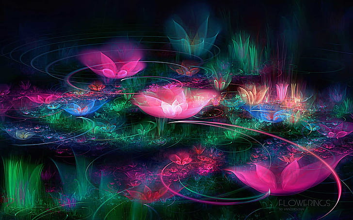 Lotus Flower Background 2, HD tapet