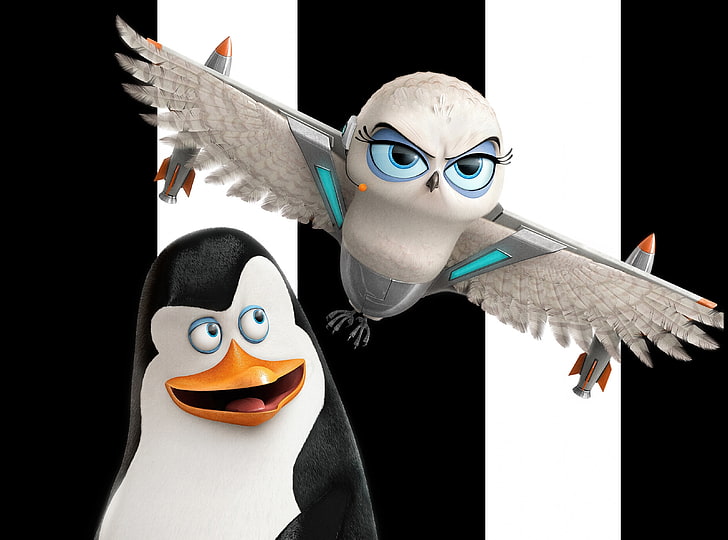 Pingouins de Madagascar Kowalski et Eva, personnages de pingouins et de hiboux, dessins animés, Madagascar, pingouins, drôle, film, mignon, hibou des neiges, kowalski, Fond d'écran HD