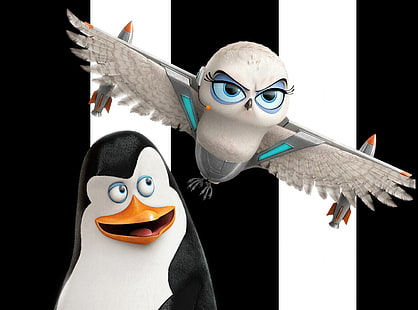 Pingouins de Madagascar Kowalski et Eva, personnages de pingouins et de hiboux, dessins animés, Madagascar, pingouins, drôle, film, mignon, hibou des neiges, kowalski, Fond d'écran HD HD wallpaper