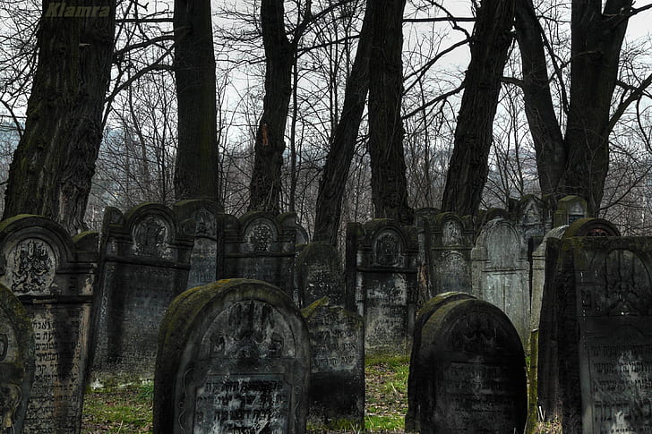 graveyards, Poland, forest, HD wallpaper