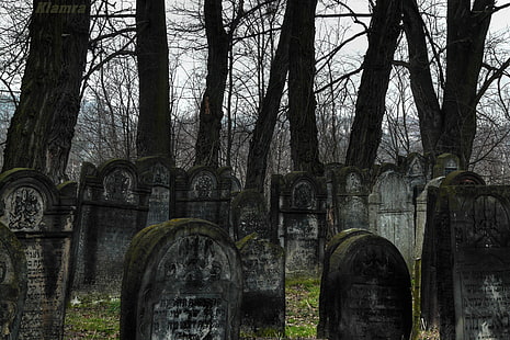  graveyards, Poland, forest, HD wallpaper HD wallpaper