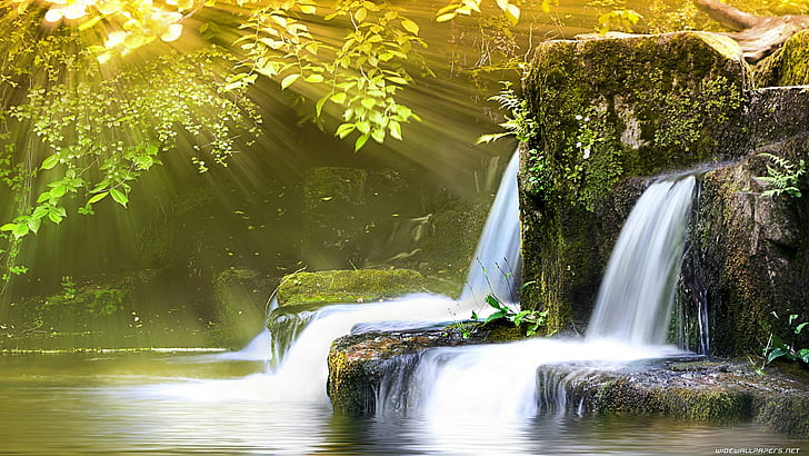 Sonnenlicht Wasserfall tropischen Wald Dschungel Rocks Stones Timelapse HD, grünes Moos;graue Felsen;grüner eiförmiger Laubbaum, Natur, Sonnenlicht, Wald, Felsen, Steine, Zeitraffer, Wasserfall, tropisch, Dschungel, HD-Hintergrundbild