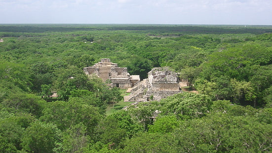 Эк Балам, деревья много, майя, лес, эк-балам, юкатан, полуостров, руины, HD обои HD wallpaper