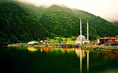 bosque, colinas, lago, paisaje, niebla, mezquita, naturaleza, Trabzon, Turquía, Uzungöl, Fondo de pantalla HD HD wallpaper