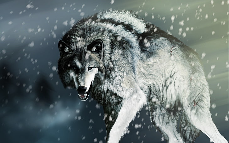 бял и черен вълк, вълк, сняг, произведения на изкуството, животни, HD тапет