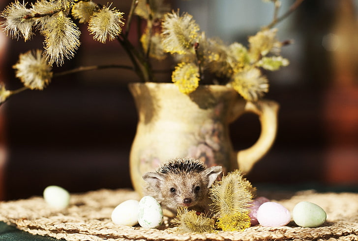 gray hedgehog, hedgehog, quail eggs, vase, willow, HD wallpaper