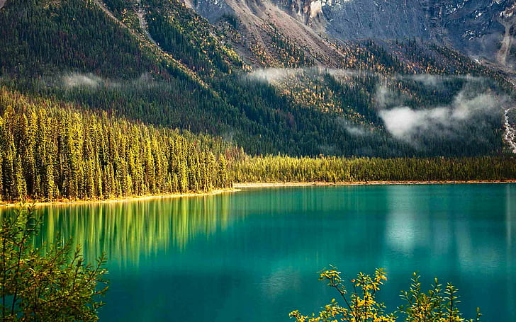 Изумрудное озеро, Национальный парк Йохо, Канада, лес, деревья, горы, Британская Колумбия, склон, Национальный парк Йохо, Изумрудное озеро, HD обои
