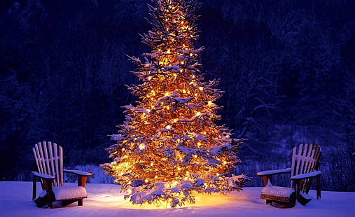クリスマスの屋外の装飾、茶色と白のクリスマスツリー、休日、クリスマス、美しい、冬、光、椅子、雪、屋外、クリスマスツリー、装飾、 HDデスクトップの壁紙 HD wallpaper