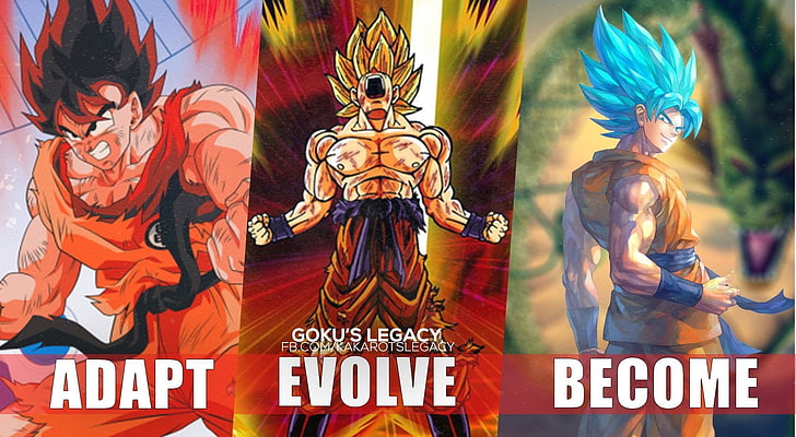 Son Goku evolution, Dragon Ball, Dragon Ball Z, Super Saiyan, Super Saiyan God, Super Saiyan 2, Son Goku, HD wallpaper