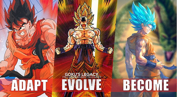 Evolution du Son Goku, Dragon Ball, Dragon Ball Z, Super Saiyan, Dieu Super Saiyan, Super Saiyan 2, Son Goku, Fond d'écran HD HD wallpaper