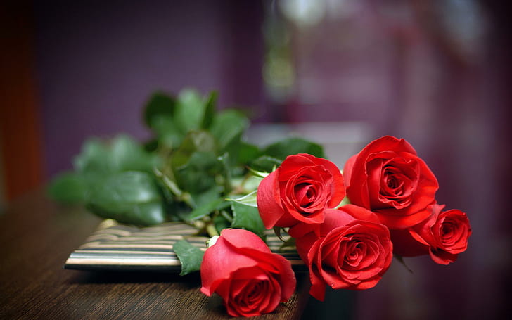 Rose rosse Amore, fiore, natura, rose, amore, Sfondo HD