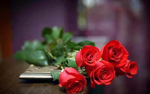 Red Roses Love, flower, nature, roses, love, HD wallpaper HD wallpaper