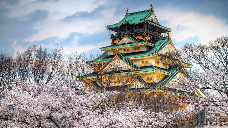 primavera, castelo de osaka, castelo, castelo japonês, japão, japonês, árvores, céu, HD papel de parede