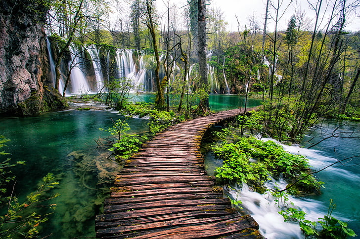 национален парк плитвички езера, хърватия, водопади, дървета, дървен мост, природа, HD тапет