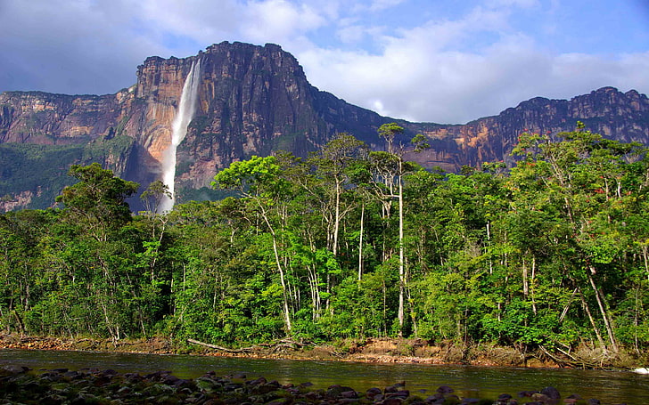 شلالات الملاك في جبال روكي المرتفعة في فنزويلا ، غابة استوائية بأشجار خضراء طويلة ، خلفية سطح مكتب نهر عالية الدقة للهواتف المحمولة وأجهزة الكمبيوتر المحمولة، خلفية HD
