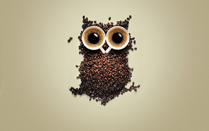 biji kopi, kopi, burung hantu, biji kopi, kreativitas, burung, hewan, latar belakang sederhana, seni digital, piala, Wallpaper HD