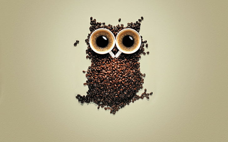 simple background, birds, creativity, coffee beans, owl, coffee, animals, digital art, cup, HD wallpaper