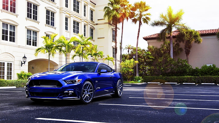 mobil, Ford Mustang, mobil biru, pohon palem, Wallpaper HD
