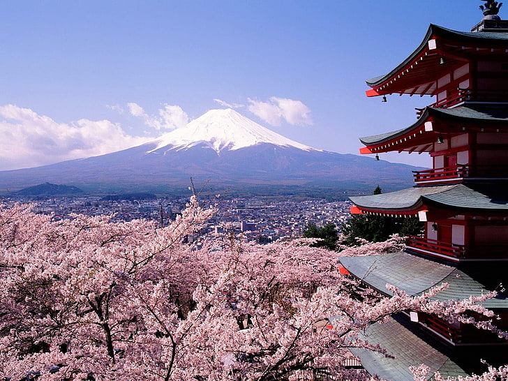 white, red, and gray pagoda temple, landscape, Mount Fuji, Asian architecture, Japan, cherry blossom, trees, Hirosaki Castle, HD wallpaper
