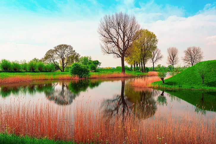 rumput hijau dekat air, england, may, spring, nature, Wallpaper HD
