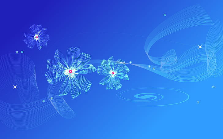 Dua Bunga Putih, latar belakang bunga, latar belakang biru, Wallpaper HD