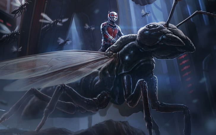 film, karya seni, Ant-Man, Wallpaper HD