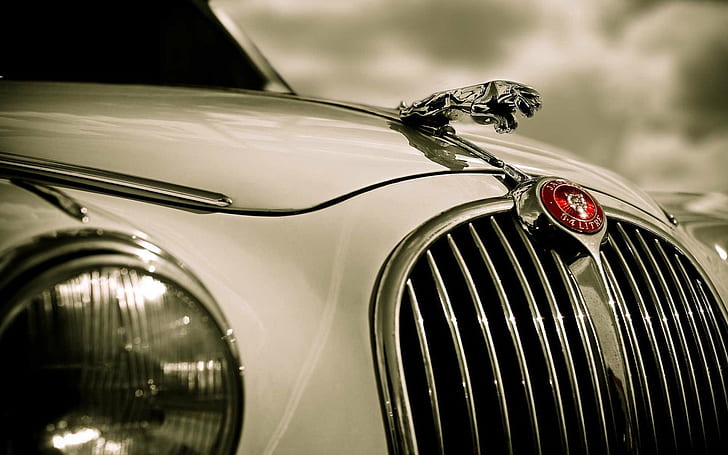 Jaguar Classic Car Classic HD, voitures, voiture, classique, jaguar, Fond d'écran HD
