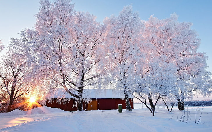 갈색 목조 주택, 자연, 나무, 눈, 겨울, 헛간, HD 배경 화면