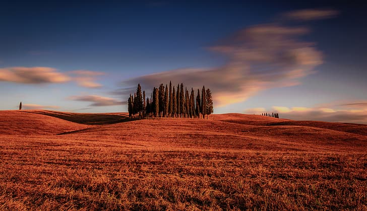 field, clouds, trees, Italy, cypress, Tuscany, HD wallpaper