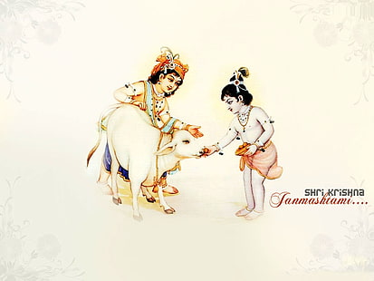 Krishna Balaram Feeding Cow, Hindugott Kuh, Gott, Lord Krishna, HD-Hintergrundbild HD wallpaper