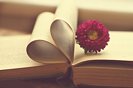 close up photo of pink petaled flower and book, for the love, love of books, close up, photo, pink, flower, book  book, vintage, heart, purple, shallow, dof, old, hardcover, book, education, literature, page, learning, paper, reading, wisdom, HD wallpaper HD wallpaper