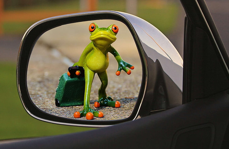 cute, drive away, farewell, frog, funny, leave, luggage, rear mirror, sad, time to go, trolley, HD wallpaper