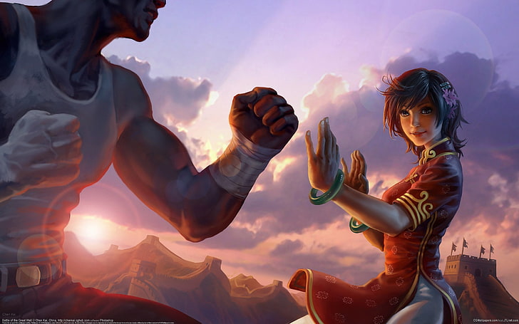 женски боец ​​аниме измислен герой, цвете, момиче, слънцето, залез, фигура, битка, Китай, изкуство, битка на Великата стена, HD тапет