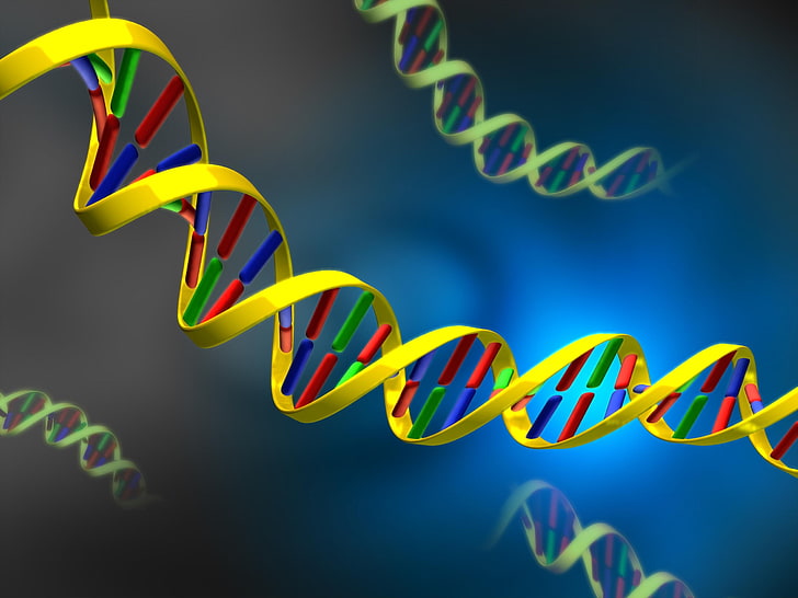 green and yellow spiral illustration, DNA, nucleic, acid, HD wallpaper