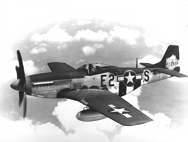black and gray E2 S plane illustration, aircraft, airplane, war, World War II, North American P-51 Mustang, monochrome, military aircraft, HD wallpaper