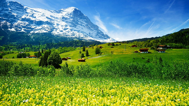 пейзаж, Европа, Швейцария, ливади, планини, небе, Алпи, пролет, HD тапет