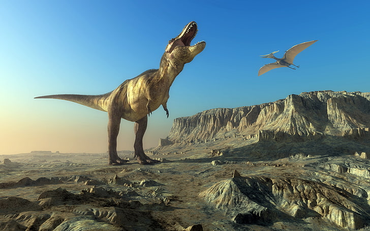 Ancient Animals Dinosaur Tyrannosaurus Rex Pets, HD wallpaper