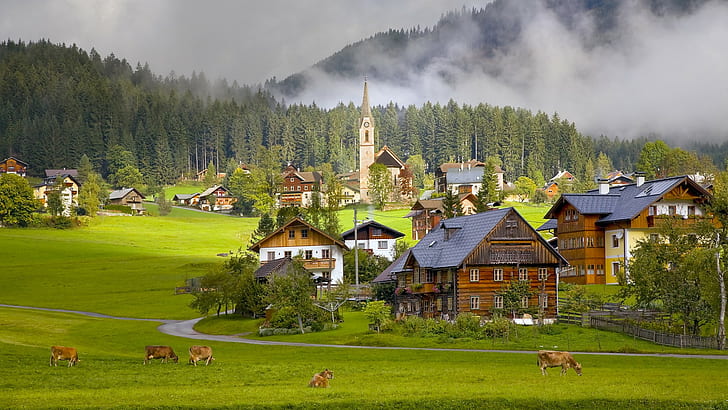wood, trees, mist, building, forest, town, road, villages, house, animals, grass, Austria, cow, architecture, church, nature, HD wallpaper