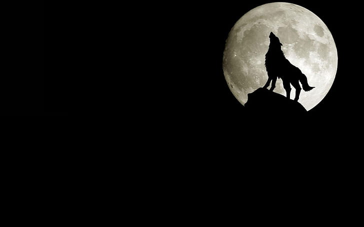 night moon howling wolf wolves Space Moons HD Art , Moon, night, HD wallpaper