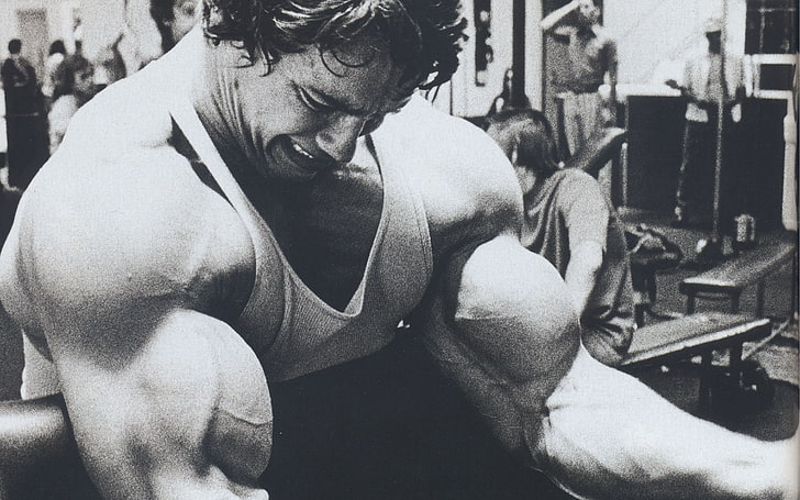 herrtröja, Arnold Schwarzenegger, skådespelare, producent, regissör, ​​ung, bodybuilding, HD tapet