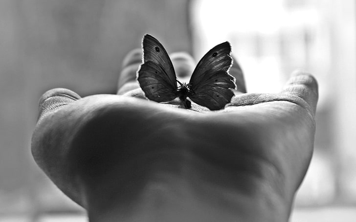 grayscale photo of butterfly, palm, butterfly, spirits, black white, HD wallpaper