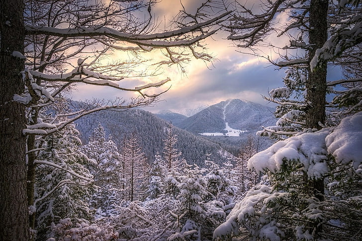 ภาพวาดต้นไม้ขาวและดำ, ทิวทัศน์, ธรรมชาติ, ฤดูหนาว, พระอาทิตย์ตก, ป่า, หิมะ, ภูเขา, เมฆ, เย็น, ต้นไม้, โปแลนด์, วอลล์เปเปอร์ HD