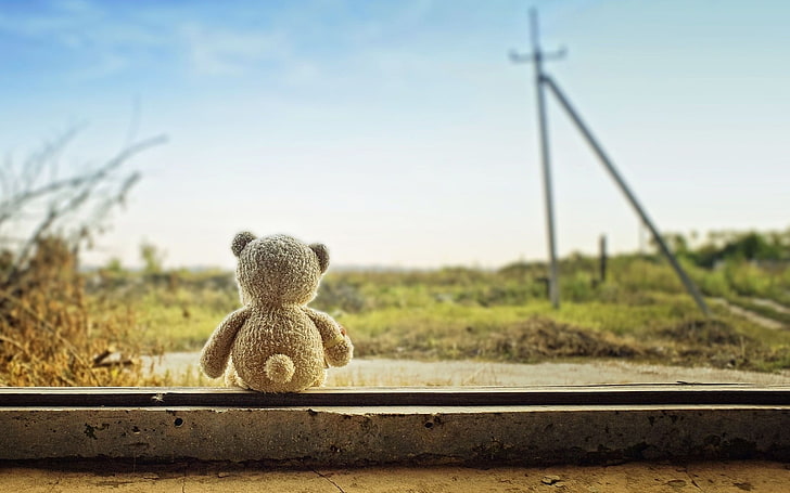 Braunbär Plüschtier, Teddybären, HD-Hintergrundbild