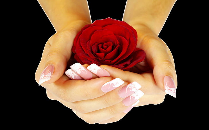 Red Rose For...juliannaa, lovely, hand, romantic, beautiful, flowers, romance, pretty, beauty, roses, hands, nature, with, HD wallpaper